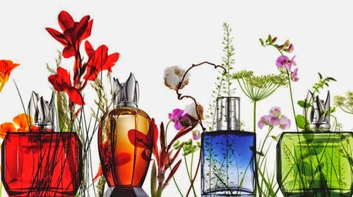 Lampe Berger Fluid Guide