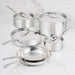 Hestan ProBond Luxe 10-Piece Clad Stainless Steel Cookware Set - Made in Italy - 31768