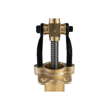 Bigolaro Premium Hand Pasta Extruder with Rigatoni and Spaghetti 2.5 mm Brass Dies Made in Italy Torchio