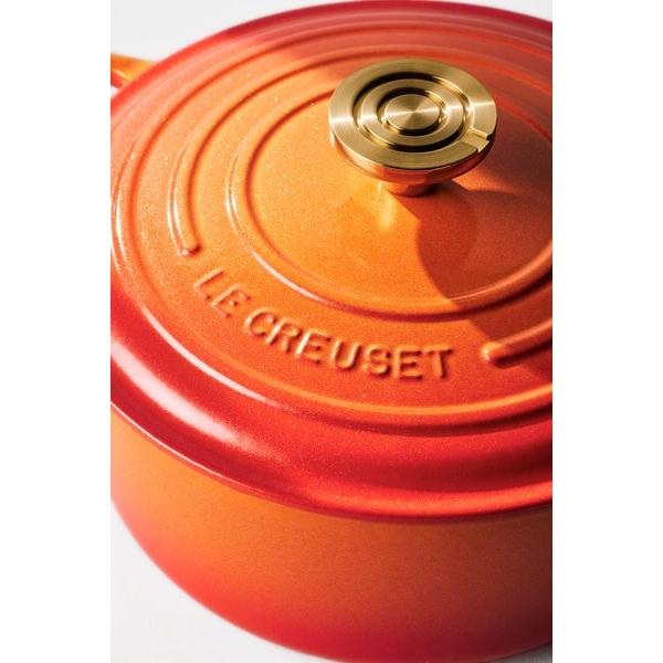 Le Creuset 5.3L Flamme Dorée French/Dutch Oven (26cm)