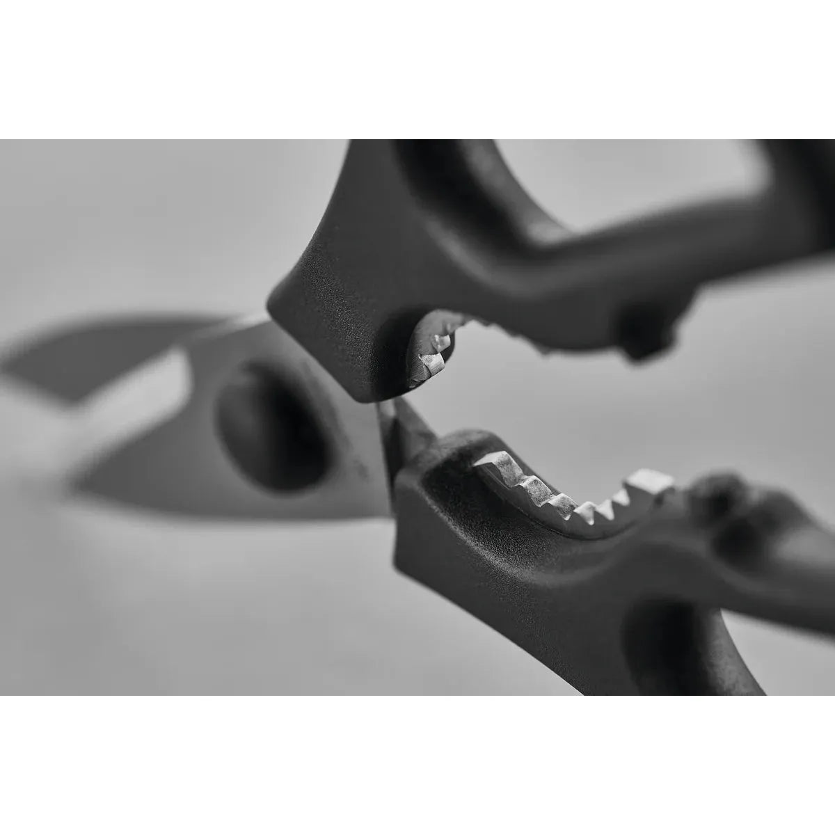 Wüsthof Detachable Kitchen Shears 7 cm / 2" Blade Cracker