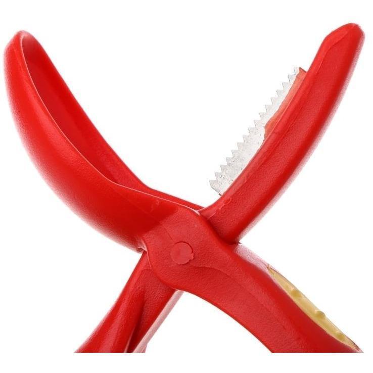 CHESTNUT CUTTER (TAGLIACASTAGNE)-Consiglio's Kitchenware