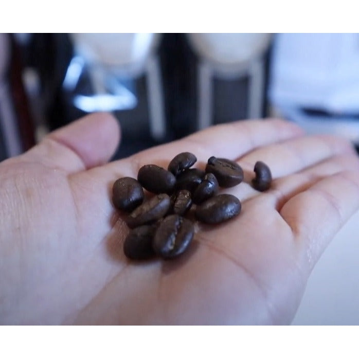 Consiglio's Aroma Eccellente Premium Fresh Roast  Non Oily Beans 