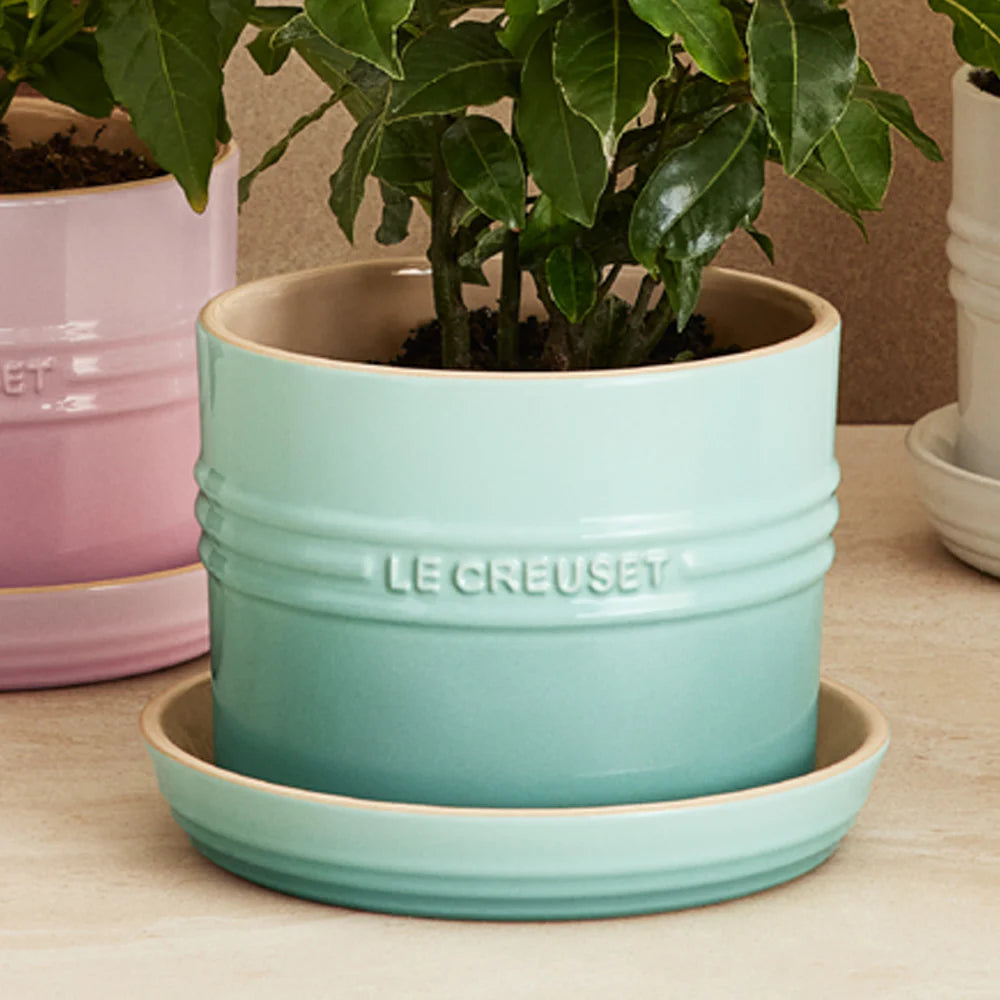 Le Creuset Sage Herb Planter 14 cm
